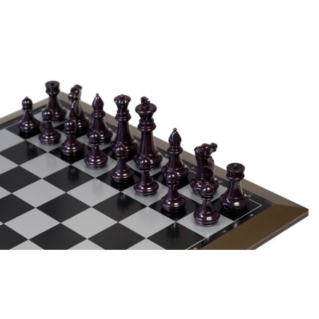 Ensemble d'échecs magnétique