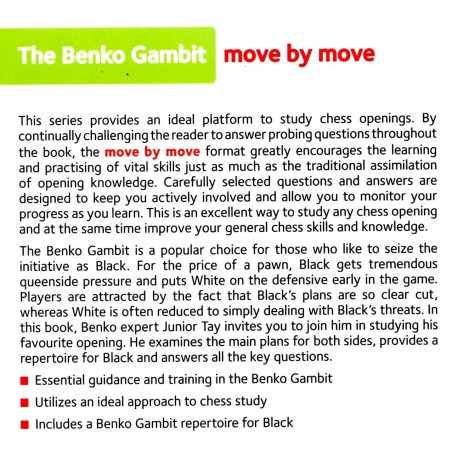 Tay - The Benko Gambit move by move