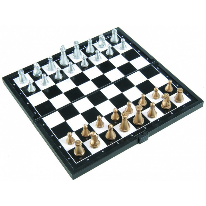 Jeu d'échecs magnétique amusant Jeu d'aimant de table avec 20 jeux de  stratégie d'aimants pour la fête de famille