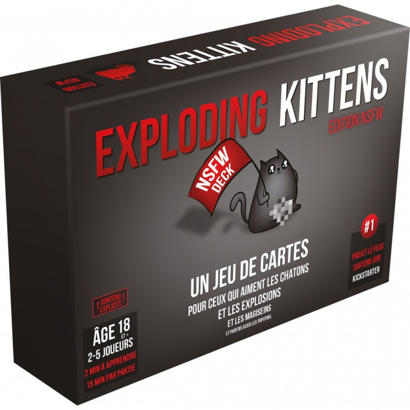 Exploding Kittens - Edition 2 Joueurs - Jeu de Société - Boutique Variantes  Paris