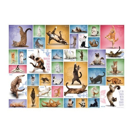 Puzzle 1000  pièces - Yoga Cats