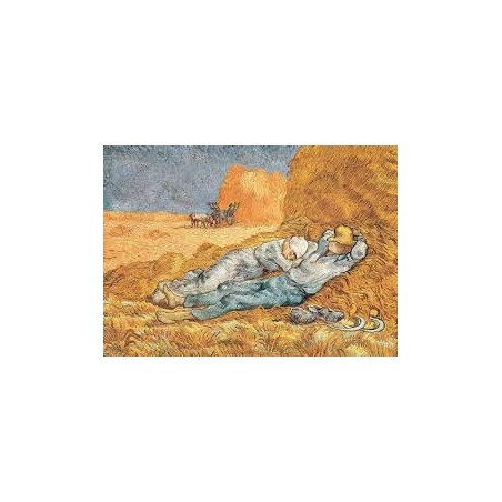 Puzzle 1000 pièces - La sieste de Van Gogh