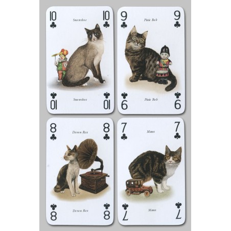 Cartes à jouer les Chats