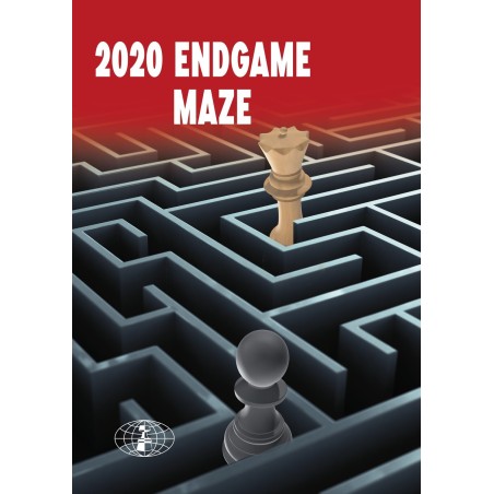 2020 Endgame Maze