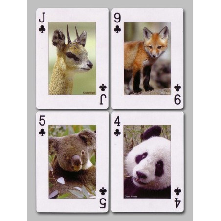 Cartes à jouer Animaux