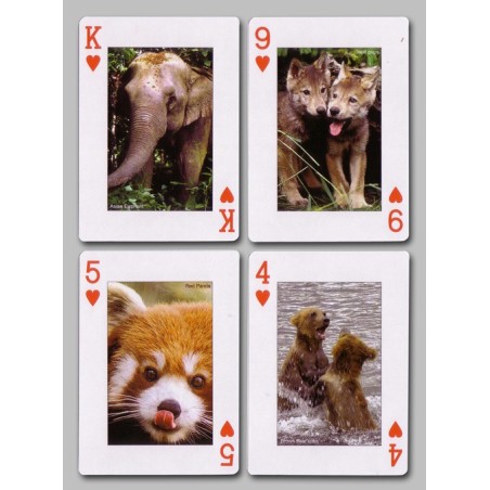 Cartes à jouer Animaux