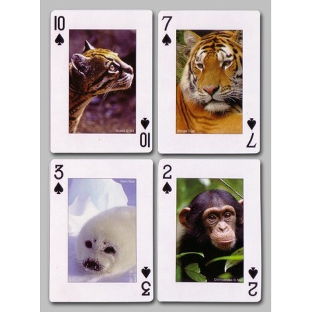 Cartes à jouer Animaux