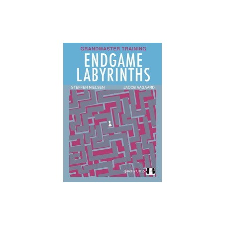 Nielsen & Aagaard - Endgame Labyrinths