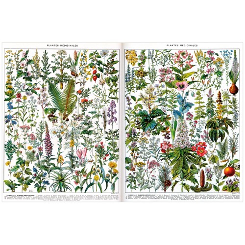 Puzzle 500 pièces - Plantes...