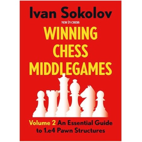 Sokolov - Winning Chess Middlegames Volume 2