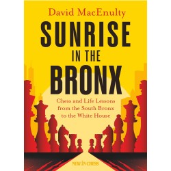 MacEnulty - Sunrise in the Bronx