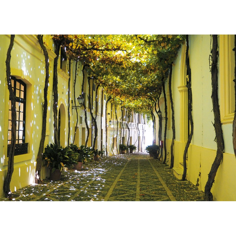 Puzzle 1000 pices - Ruelle Andalouse