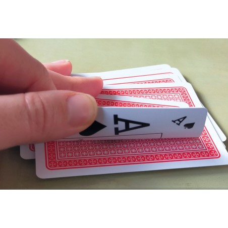 Plastic Poker Texas Hold'Em 55 Cartes