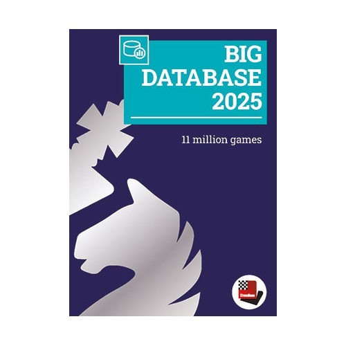 Big Database 2025...