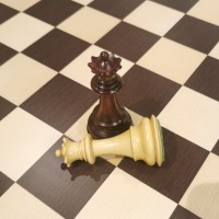 Lot de Dames pour Jeu d'Echecs Padouk - Taille 5