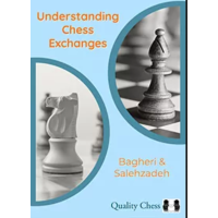 Understanding Chess Exchanges - Bagheri and Salehzadeh