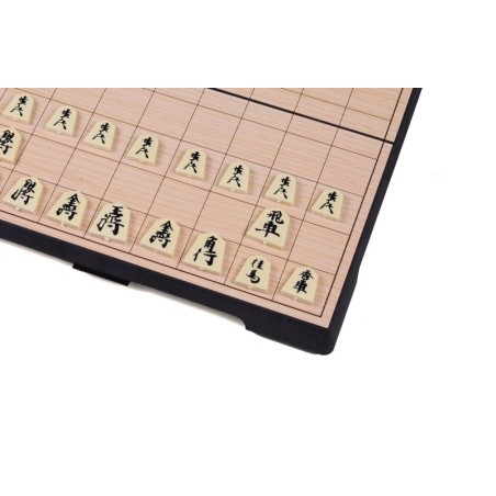 Shogi magnétique, modèle économique